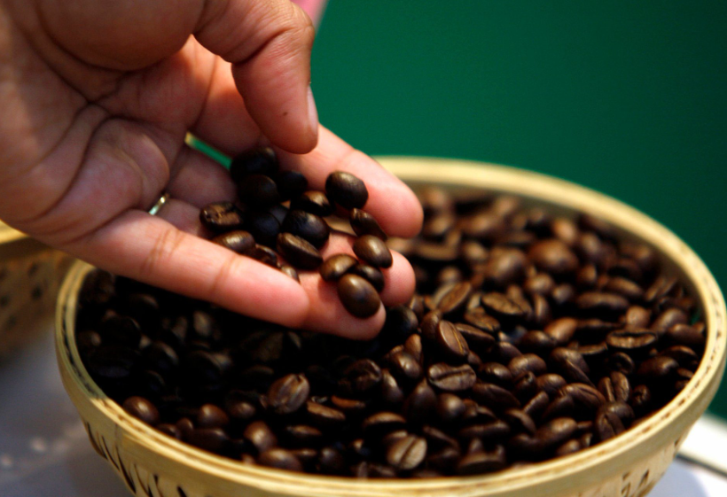 Where To Find The Best Coffee Beans in Auckland