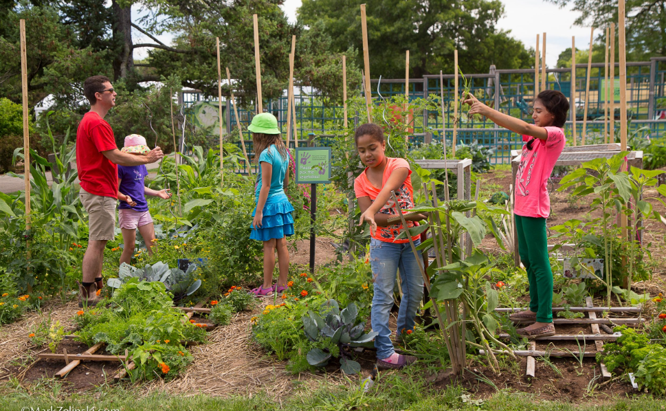 Botany Kindergarten – The Real Foundation For Your Kids