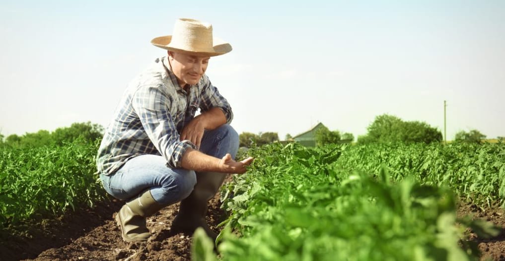 Benefits You Can Get From A Farm Record Keeping App