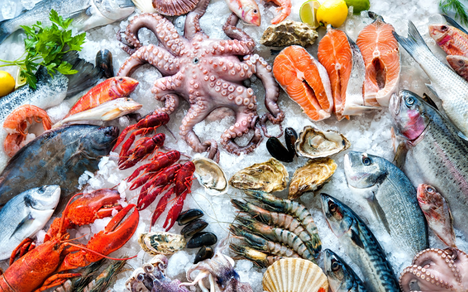 seafood wholesaler